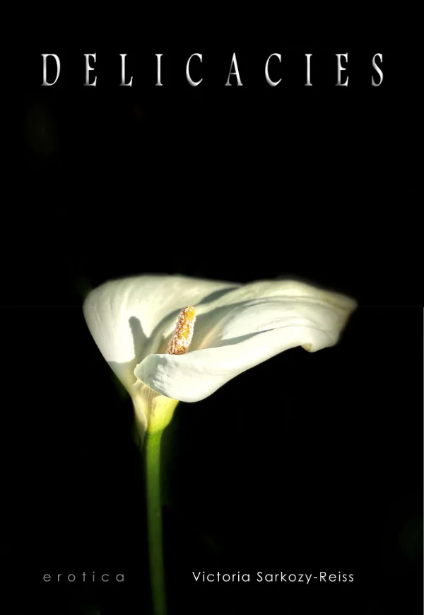 Delicacies 3 title page