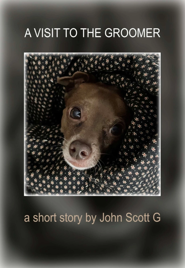 A Visit To The Groomer cover page